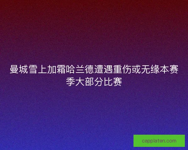曼城雪上加霜哈兰德遭遇重伤或无缘本赛季大部分比赛 曼城雪上加霜哈兰德遭遇重伤或无缘本赛季大部分比赛