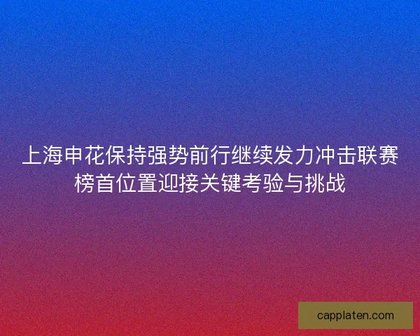 上海申花保持强势前行继续发力冲击联赛榜首位置迎接关键考验与挑战